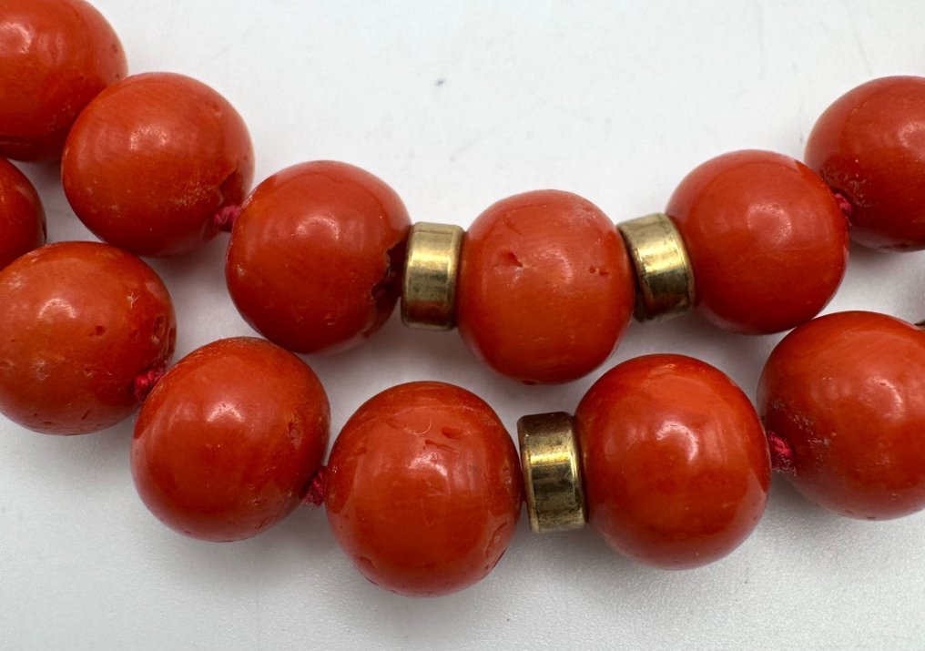 Korall Korall - Mittelmeer #1.0