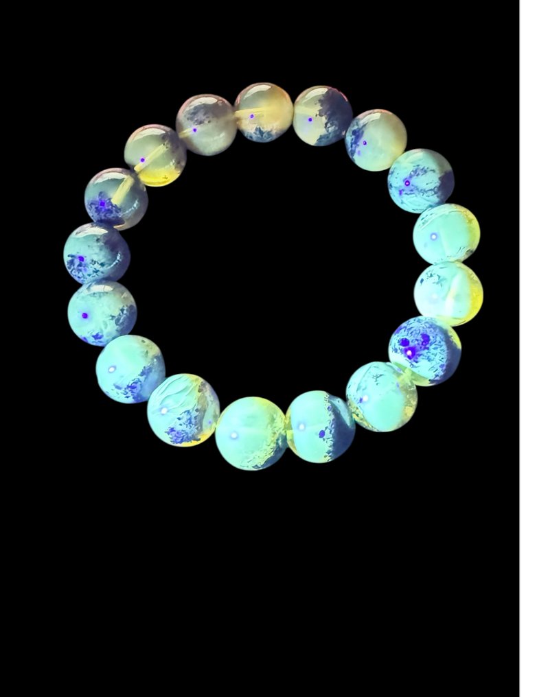 波羅的海琥珀 - 琥珀  (沒有保留價) #1.0