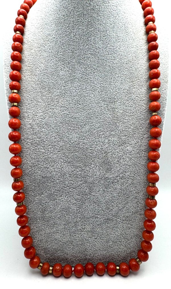 Korall Korall - Mittelmeer #4.3