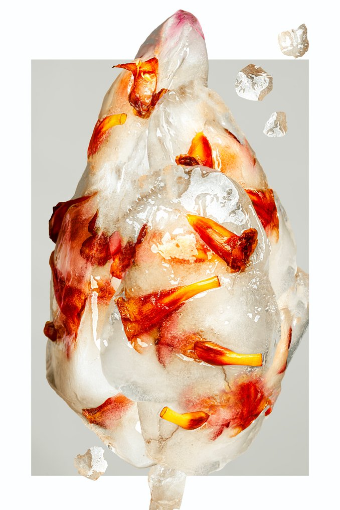 Elena Paraskeva - Cryoflora #1 #1.0