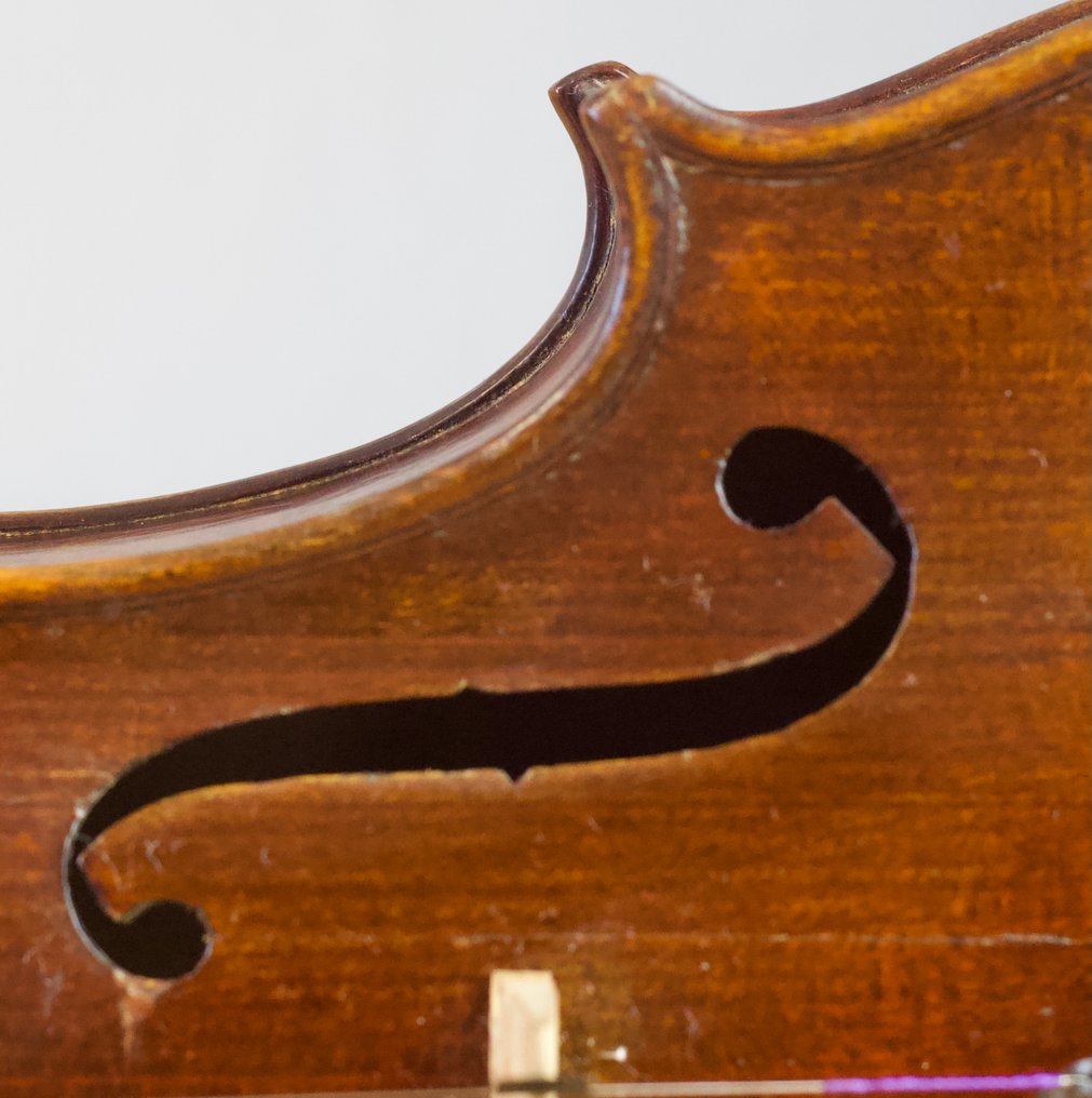 Labelled Antonio Pedrinelli -  - 小提琴 - 未知 #4.3