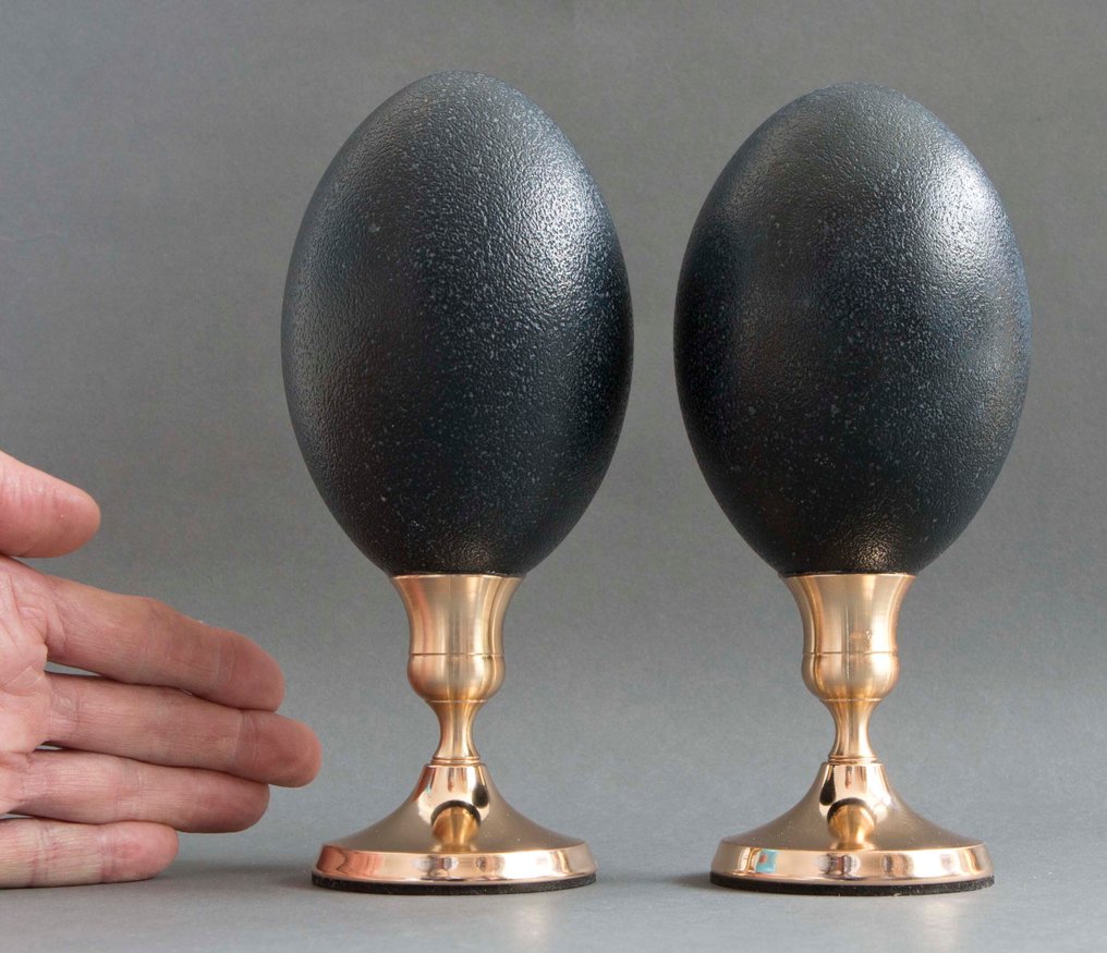 Kandelaber (2) - Ägg och metall - Emuägg #1.0