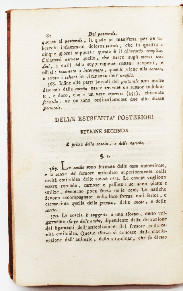 Brugnone - Ippometria - 1802 #3.2