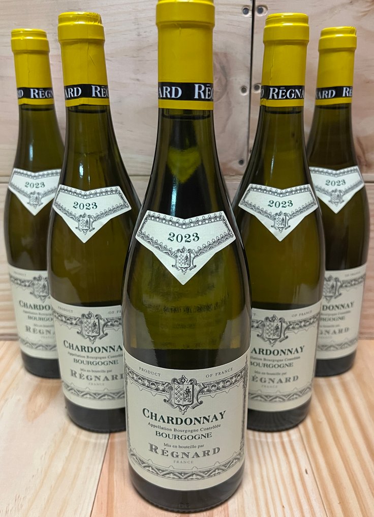 2023 Régnard Bourgogne Chardonnay - Bourgogne - 6 Flaskor (0,75L) #3.2