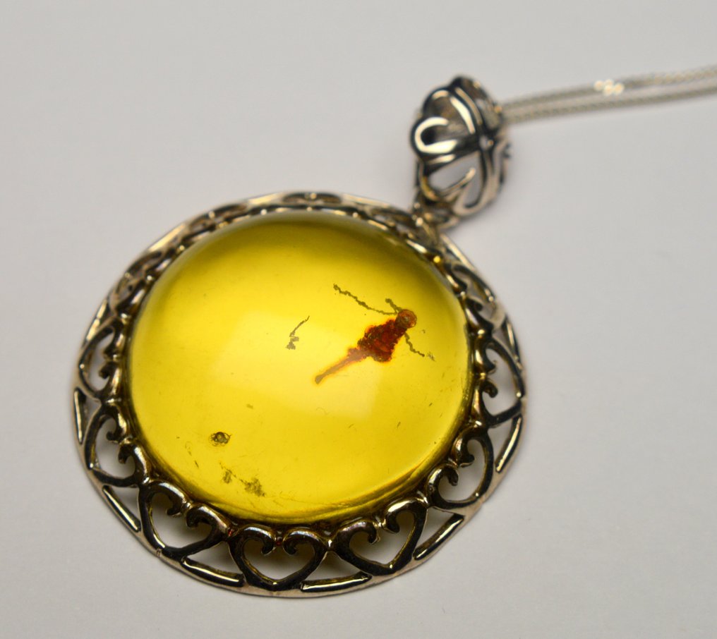 琥珀 - 925 银 - 頸鏈 #1.0