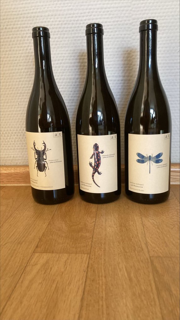 2023 Andreas Tscheppe: Salamander, Hirschkäfer, Blaue Libelle - Südsteiermark - 3 Bottles (0.75L) #1.0