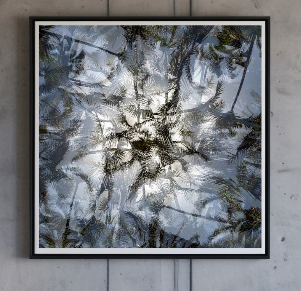 Ben Dauchez - An after noon at Majorelle #4.3