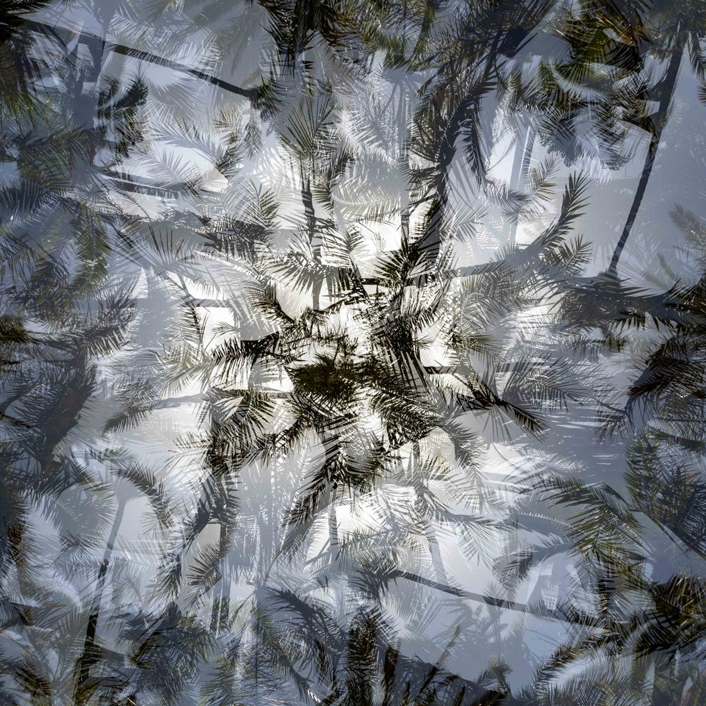 Ben Dauchez - An after noon at Majorelle #1.0