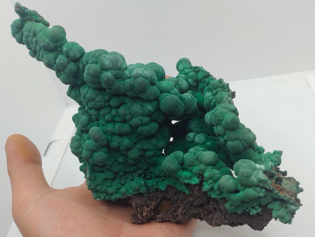 Sällsynt formation - exceptionell kvalitet Iridescent Fibrous Malachite- 793 g #2.1