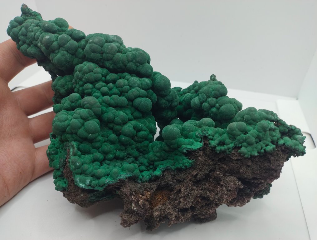 Sällsynt formation - exceptionell kvalitet Iridescent Fibrous Malachite- 793 g #1.0