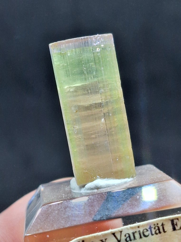 Σπάνια ιταλική Elbaite tourmaline Κρύσταλλος - Ύψος: 25 mm - Πλάτος: 12 mm- 6.5 g #1.0