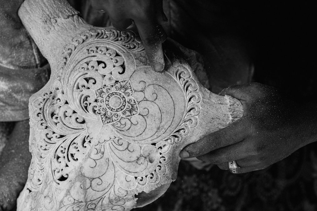 Fără preț de rezervă - Uimitor, gri, lucrat manual - Craniu de vacă sculptat - Motif tradițional Craniu sculptat - Bos Taurus - 57 cm - 39 cm - 16 cm- Speciile Non-CITES - (1) #4.3