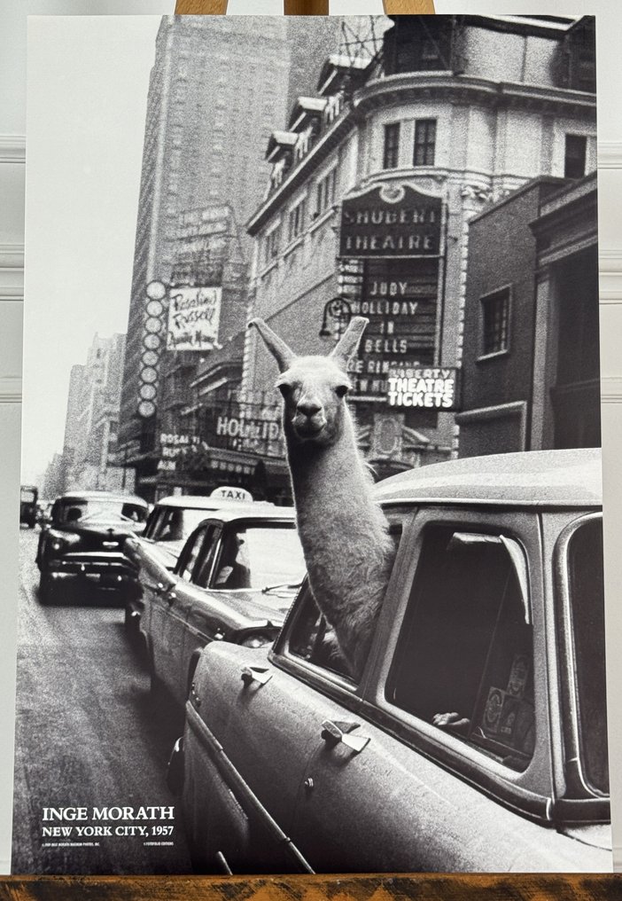 Inge Morath - New York City, #1.0