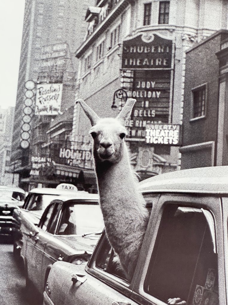 Inge Morath - New York City, #1.0