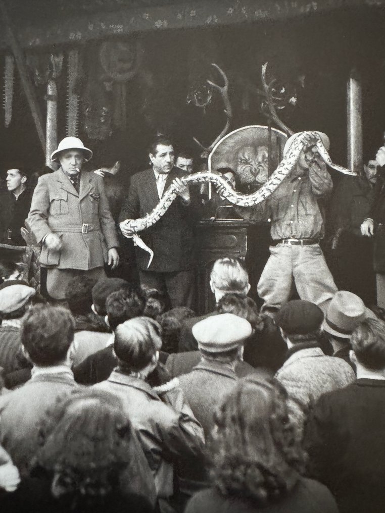 Robert Doisneau (1912–1994) - La Ménagerie coloniale du professeur Lambert, Paris, 1952 #3.2