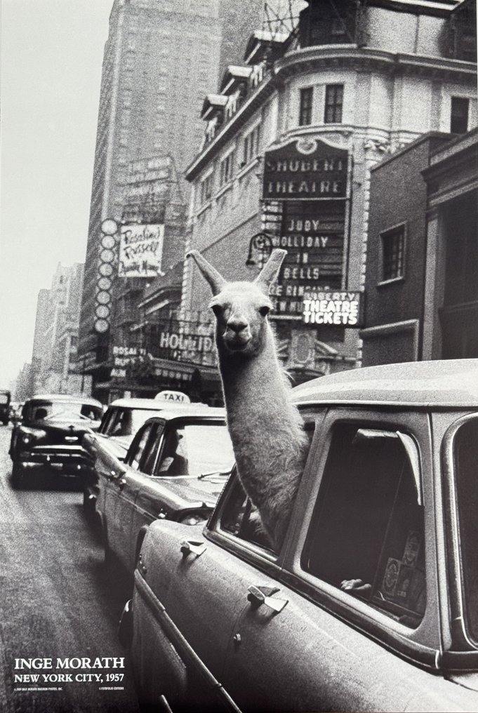 Inge Morath - New York City, #4.3
