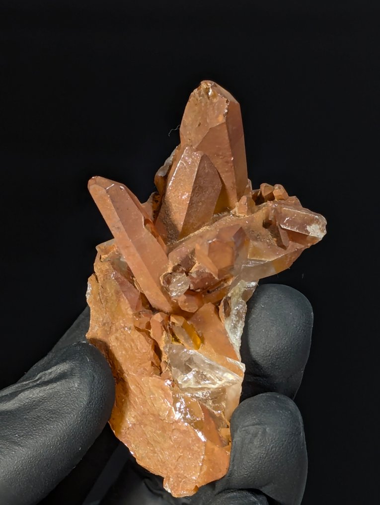 2,550千克 - 矿物收藏品 – 紫水晶、烟水晶、结晶石英、碧玺、白云石、滑石 標本 - 高度: 112 mm - 闊度: 50 mm- 2550 g - (14) #2.1