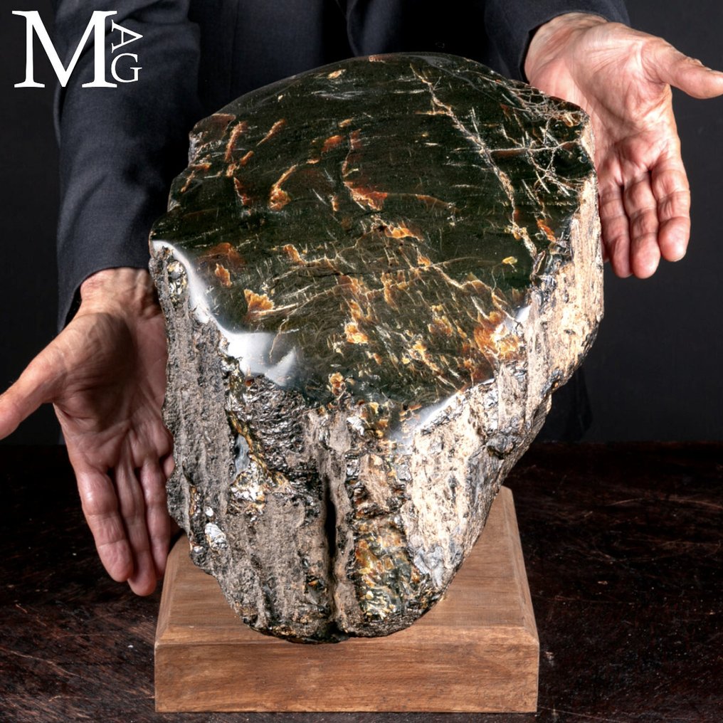 Απίστευτο μέγεθος - Ποιότητα μουσείου!!! Μεγάλο μπλοκ απολιθωμένου κεχριμπαριού – Νησί Σουμάτρα. - Ύψος: 360 mm - Πλάτος: 350 mm- 14500 g #1.0