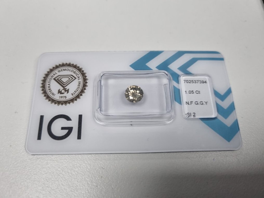 1 pcs 钻石  (天然色彩的)  - 1.05 ct - 圆形 - Fancy 灰色, 绿色 黄色 - SI2 微内含二级 - 国际宝石研究院（IGI） #1.0