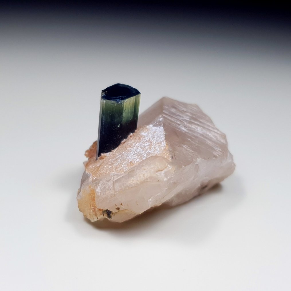 绿色帽子电气石配石英 標本 - 高度: 24 mm - 闊度: 45 mm- 30 g - (1) #3.2