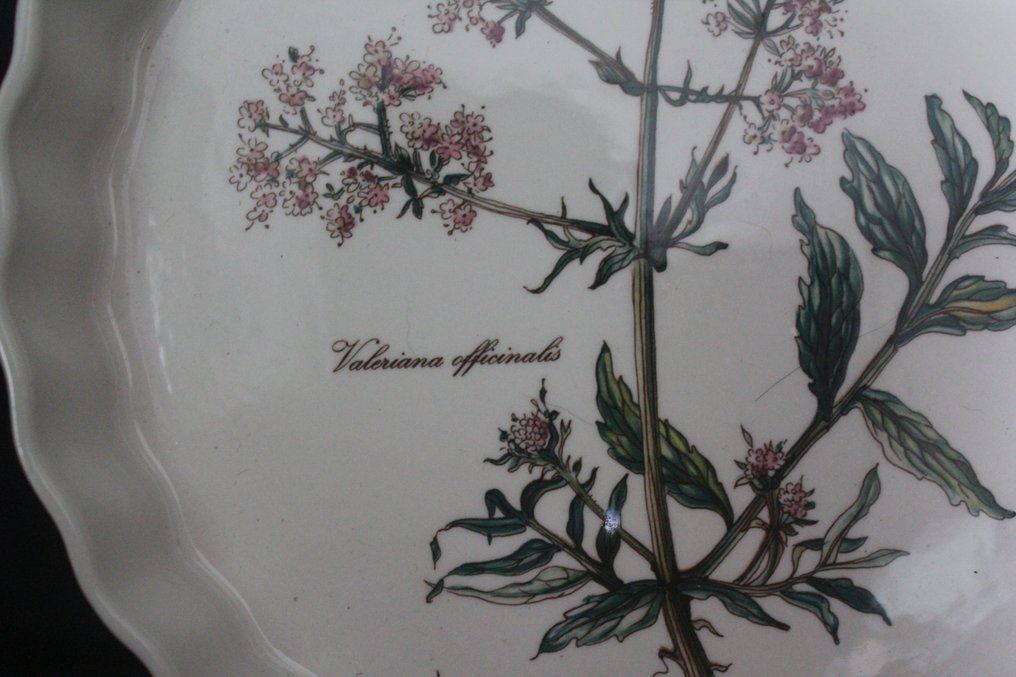 德国唯宝 - Botanica - 馅饼盘 (3) - Botanica - 瓷 - 大号和小号蛋糕盘 #1.0