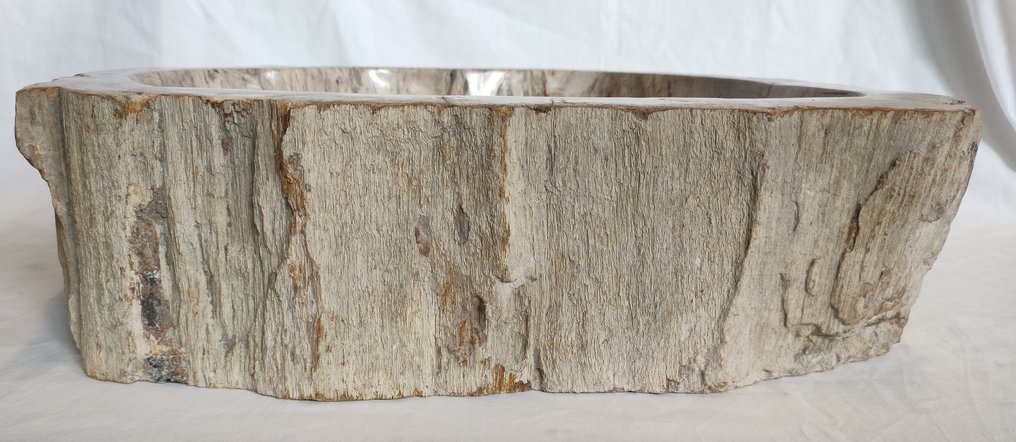Lavabo - Legno fossile. - lavabo #3.2