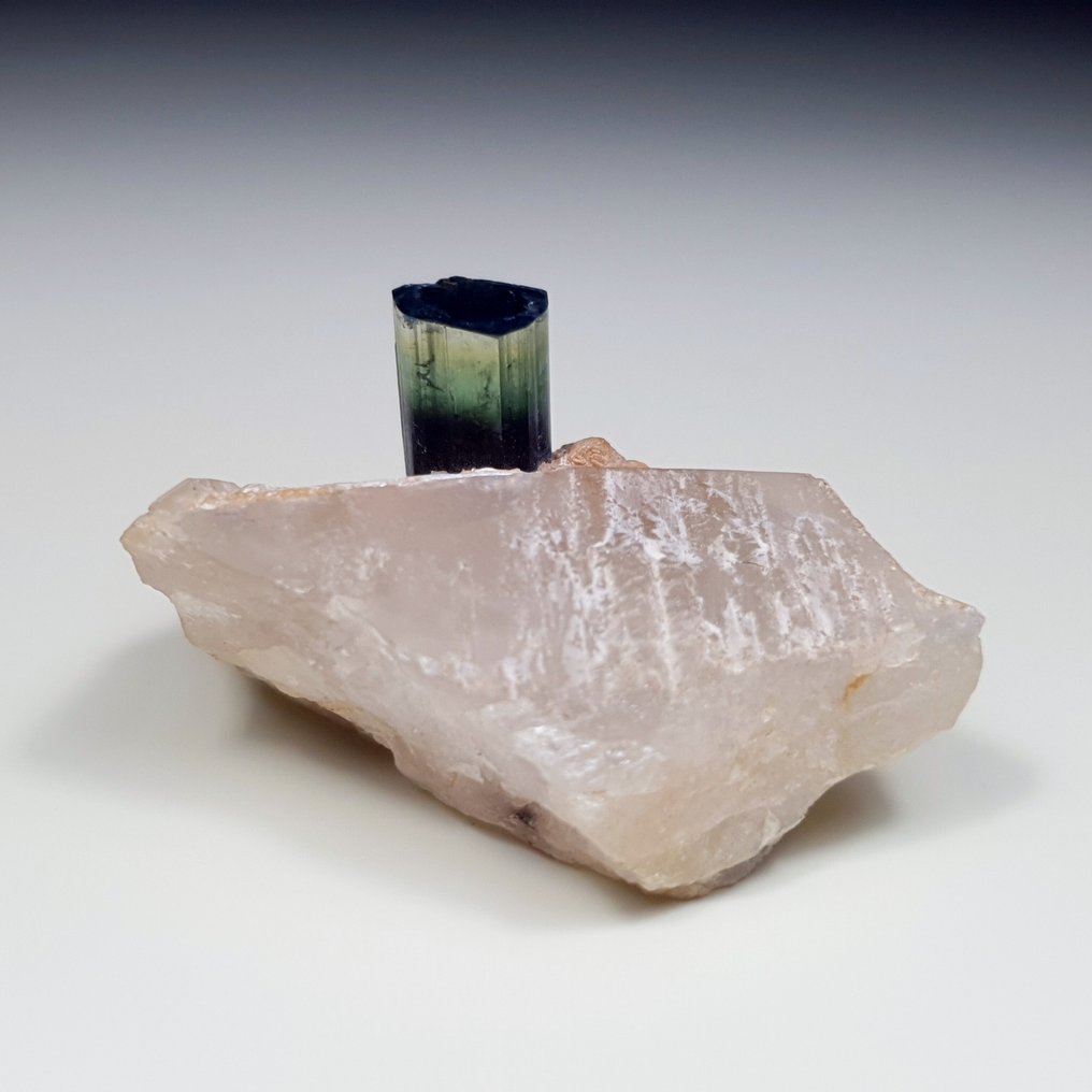 绿色帽子电气石配石英 標本 - 高度: 24 mm - 闊度: 45 mm- 30 g - (1) #2.1