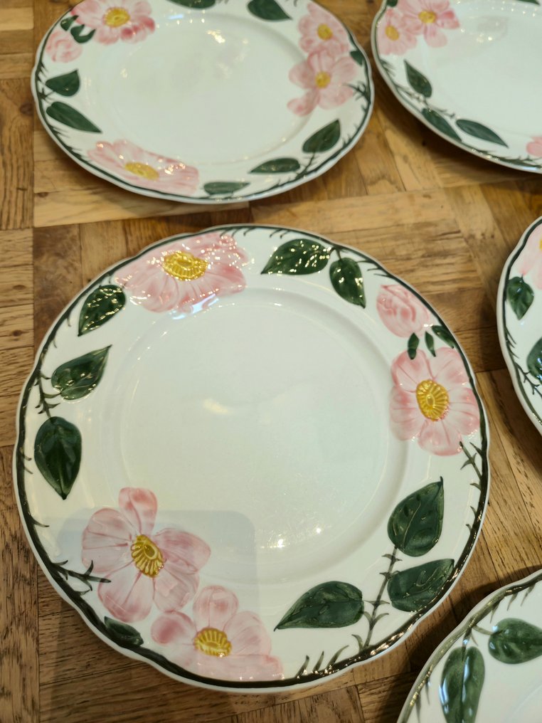 德国唯宝 - 餐盘 (5) - Wild-Rose, Wildrose - 瓷 - 手工绘制，一流！ #4.3