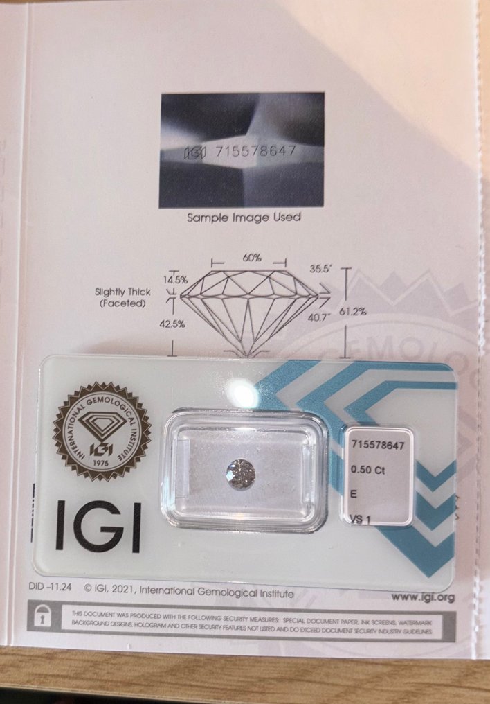 1 pcs 钻石  (天然)  - 0.50 ct - 圆形 - E - VS1 轻微内含一级 - 国际宝石研究院（IGI） #1.0