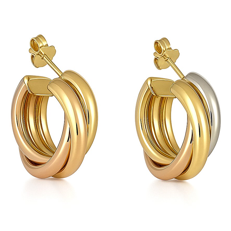 Boucles d'oreilles - 18 carats Or jaune, Or blanc, Or rose #3.2