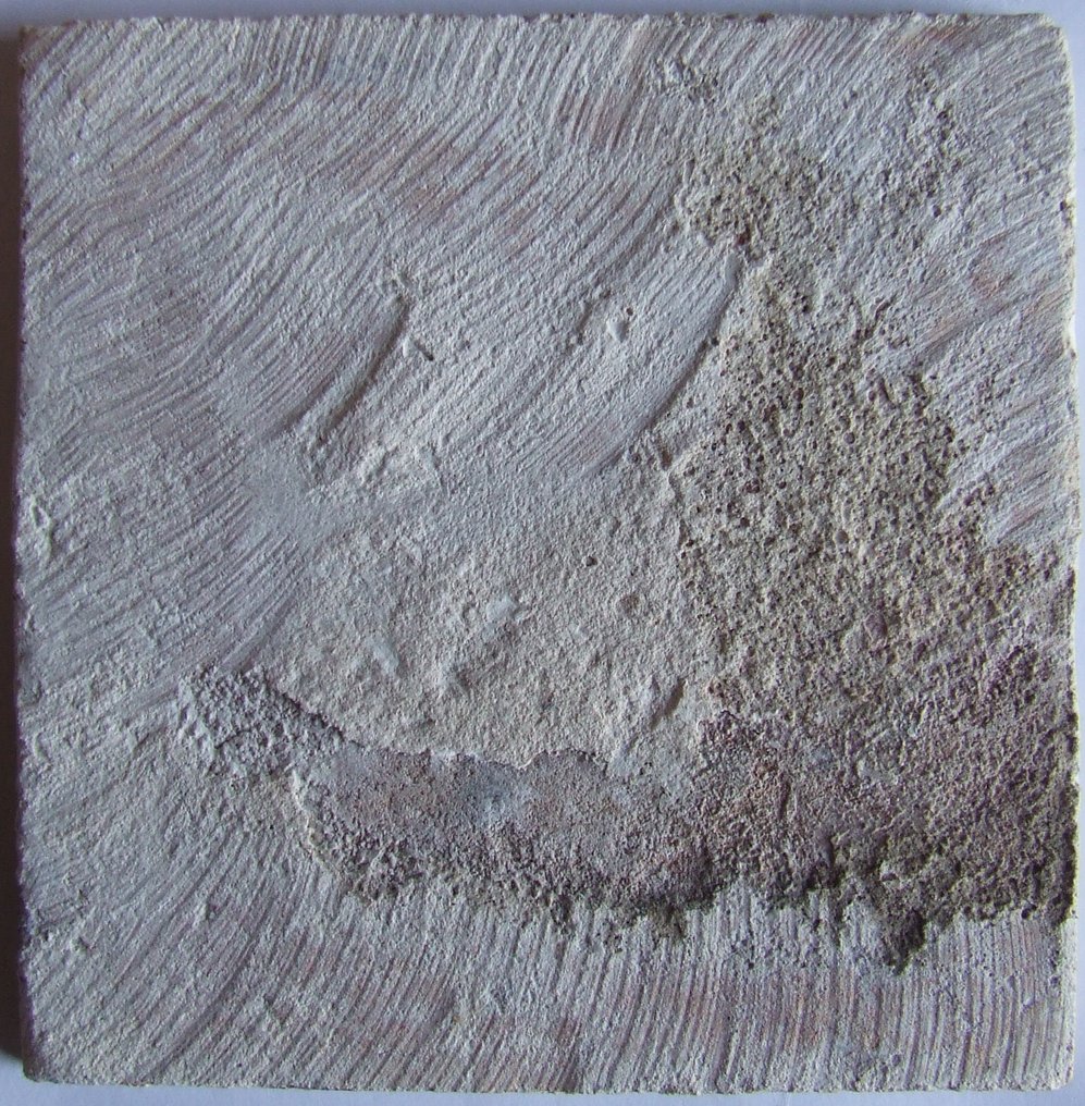 Tile - Super beautiful 3 tulip in accolade. - 1600-1650 #1.0