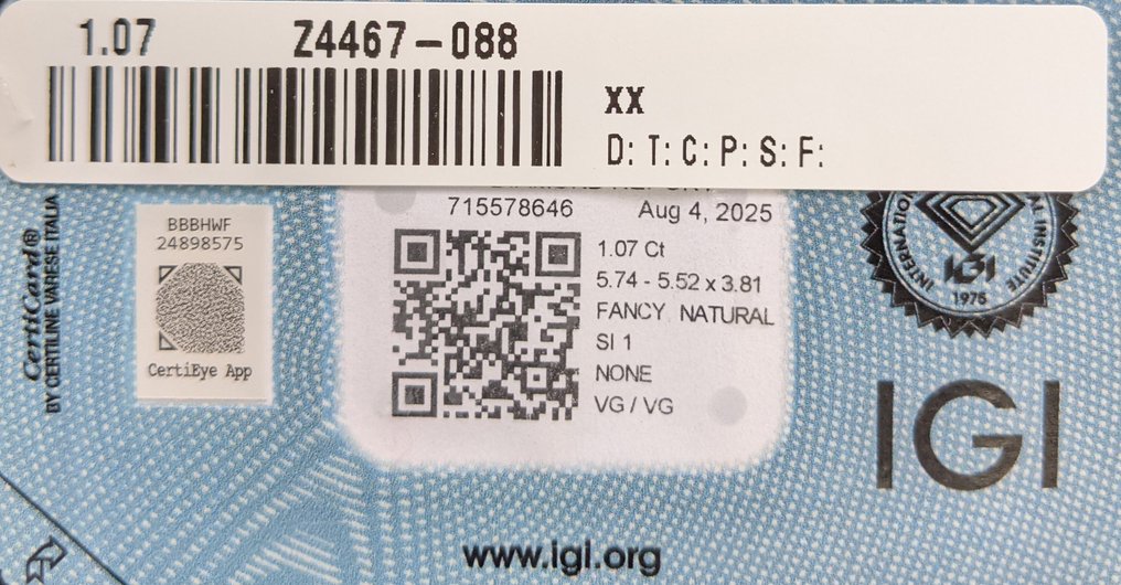1 pcs 鑽石  (天然彩色)  - 1.07 ct - 枕形 - Fancy deep 黃色 - SI1 - 國際寶石學院（International Gemological Institute (IGI)） #2.1