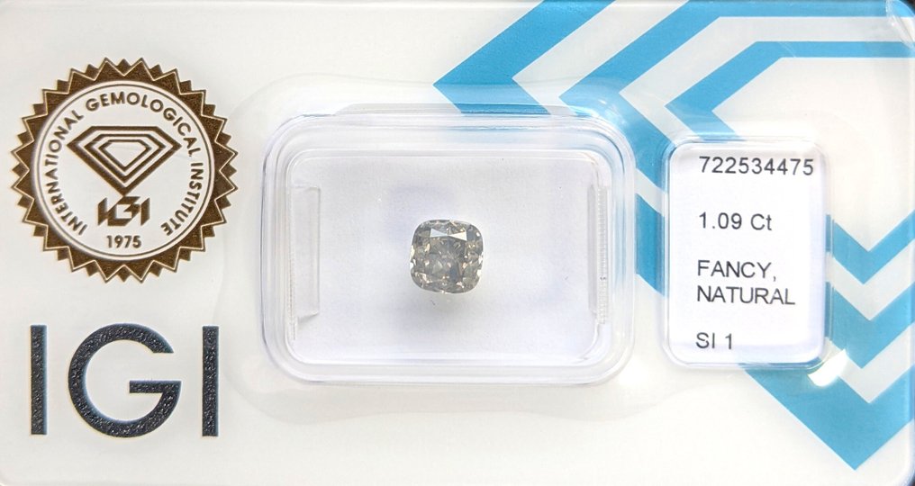 1 pcs 钻石 (天然色彩的) - 1.09 ct - 枕形 - Fancy 灰色 - SI1 微内含一级 - 国际宝石研究院(IGI) #2.1