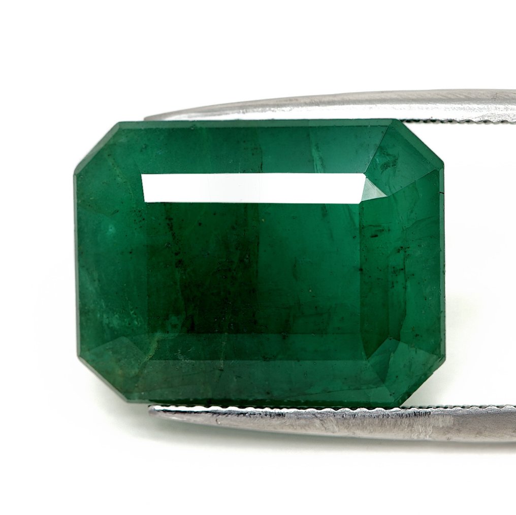 1 pcs Zöld Smaragd - 21,70 ct - Bellerophon Gemlab #1.0