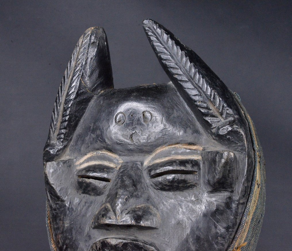 Dan - Elefántcsontpart #3.2