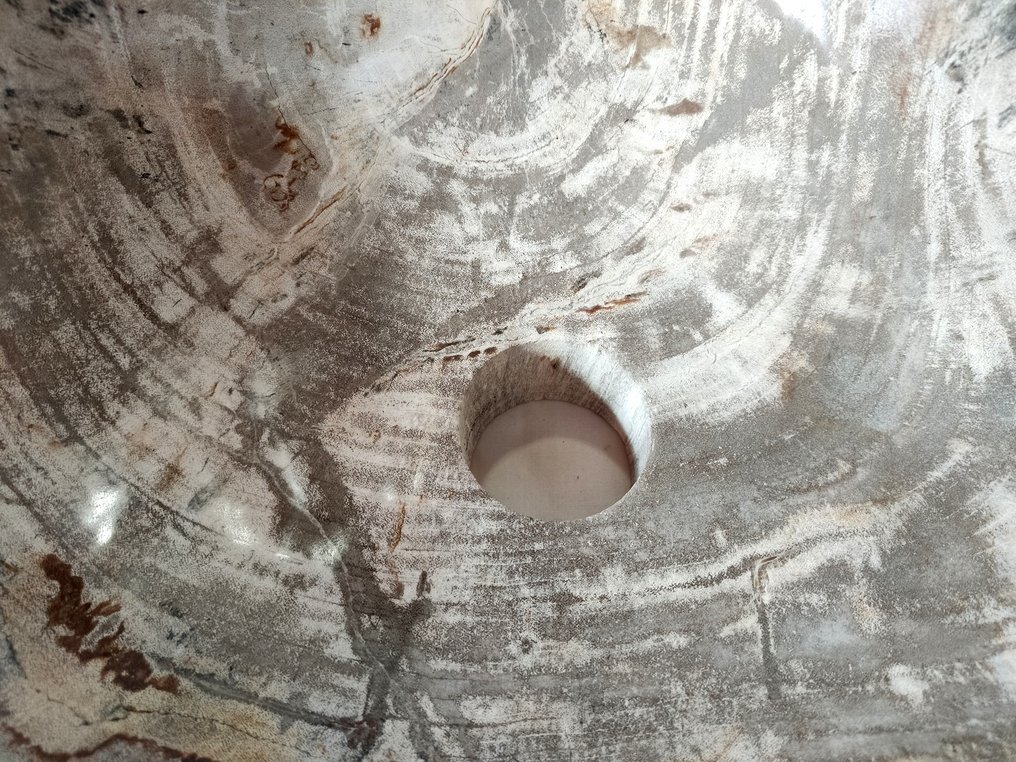  洗手盆 - 化石木 - 洗手盆 #2.1