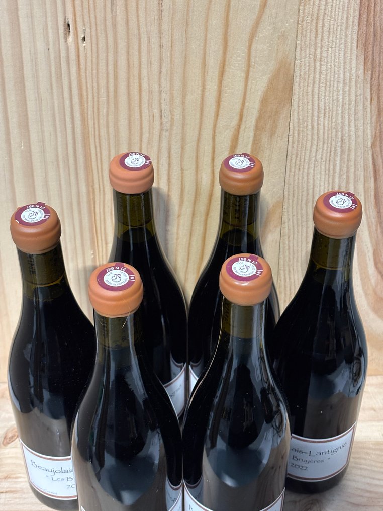 2022 Maxime Crotet - "Les Bruyères" - Beaujolais-Lantignié - 6 Bottles (0.75L) #2.1