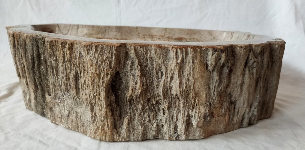  洗手盆 - 化石木 - 洗手盆 #3.2