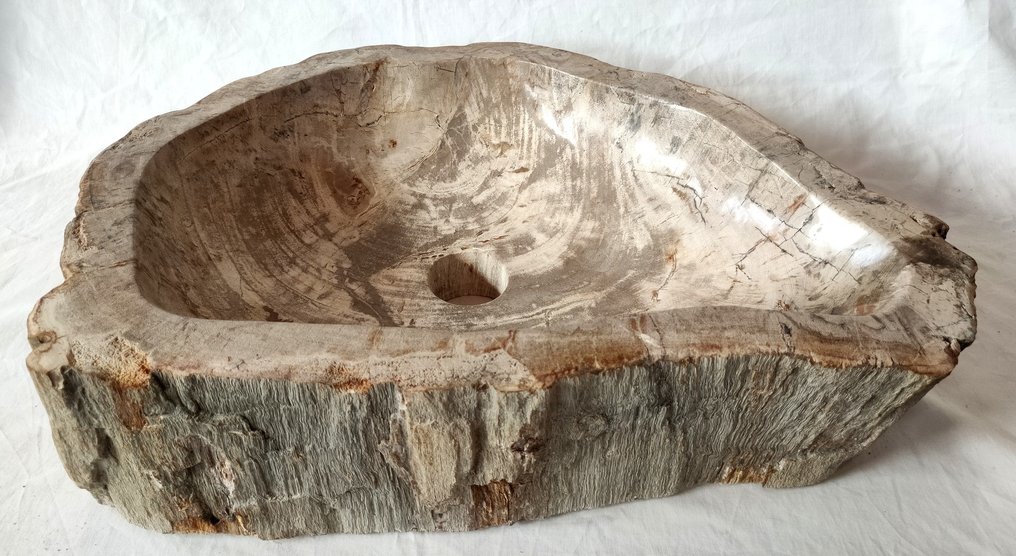  洗手盆 - 化石木 - 洗手盆 #1.0