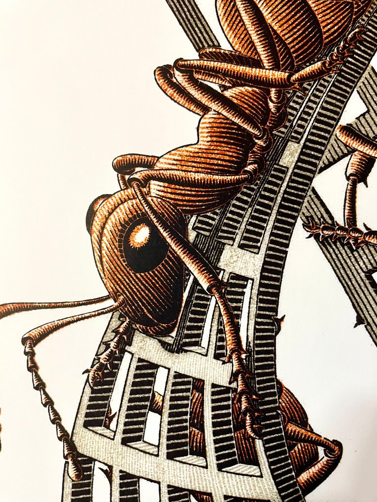 M.C. Escher (1898-1972) - "Möbius Strip II "(Red Ants) (1963) #4.3