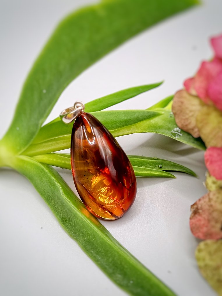 Pezzo Unico ezüstékszer 925 ezüstből, Baltica Cognac borostyánnal, csúcsminőség. - Magasság: 50 mm - Szélesség: 22 mm- 6.1 g - (1) #3.2