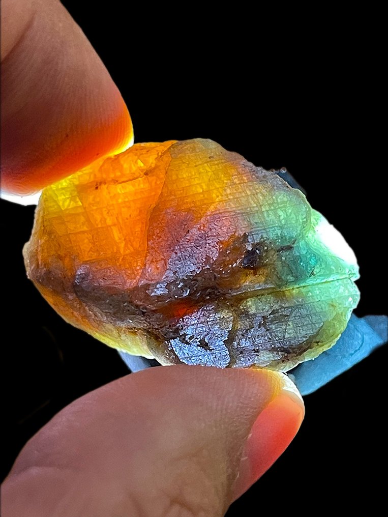 Ζαφείρι %100 φυσικό εκπληκτικό, δύο διαφορετικές διαμορφώσεις ενός μόνο ζαφειριού κρυστάλλου. - Ύψος: 34 mm - Πλάτος: 21 mm- 22.6 g #1.0