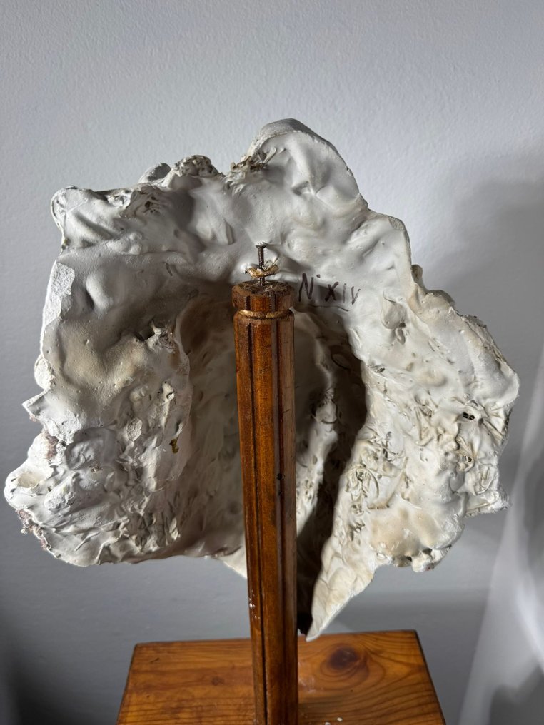 Skulptur, Scultura antica Testa Laoconte maschera gesso - 35 cm - Gips #4.3