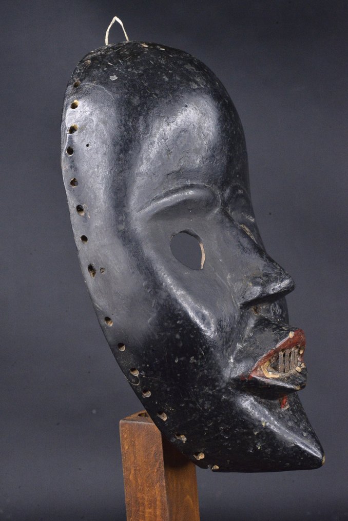 Dan - Elefántcsontpart #4.3