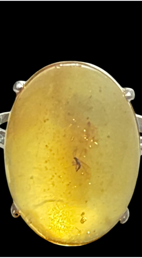 波罗的海琥珀 - 琥珀  (没有保留价) #2.1