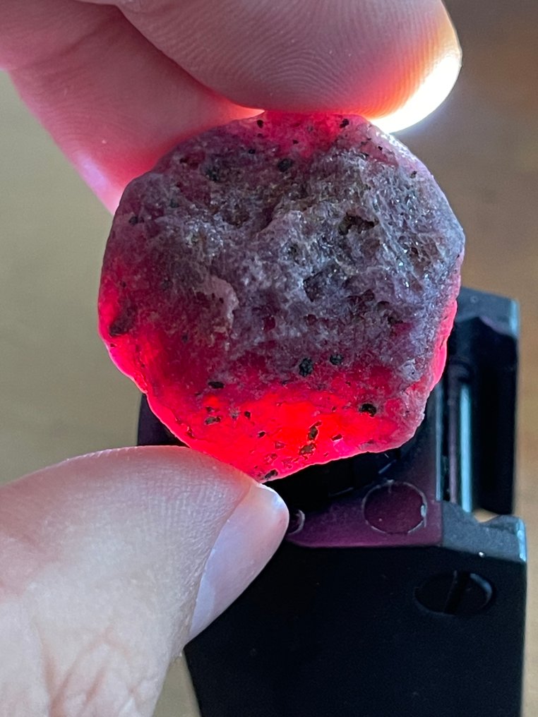 红宝石 不寻常的作品！136克拉莫桑比克血红宝石。壮丽的水晶。天然，100%特别精选。 - 高度: 26 mm - 宽度: 25 mm- 27.2 g #1.0