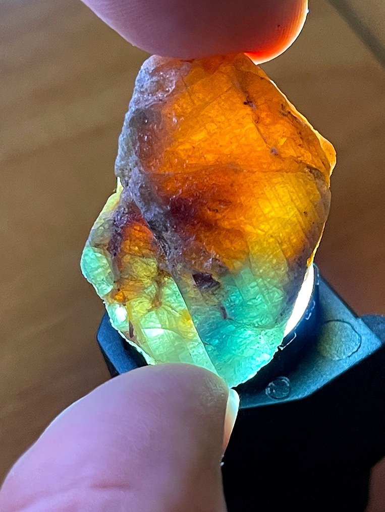 Ζαφείρι %100 φυσικό εκπληκτικό, δύο διαφορετικές διαμορφώσεις ενός μόνο ζαφειριού κρυστάλλου. - Ύψος: 34 mm - Πλάτος: 21 mm- 22.6 g #2.1