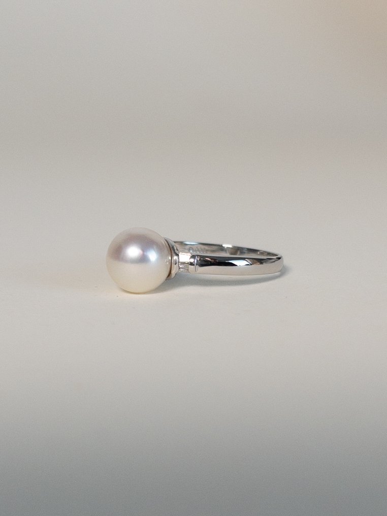 戒指 白金 珍珠 - 钻石 - Pt900 #1.0