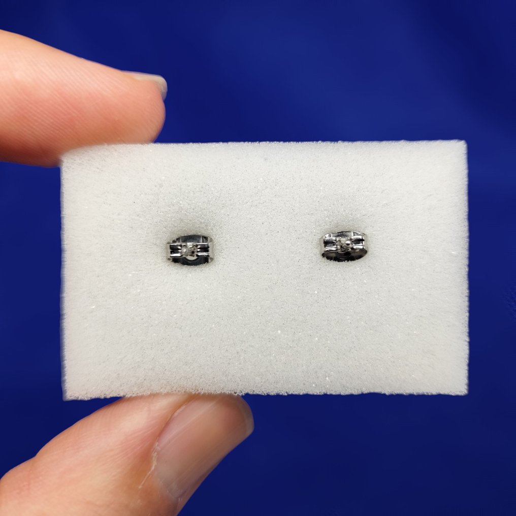 PALLASITE + 铁陨石。耳环 最高品质！无底价！！！ - 4.5 g #3.2