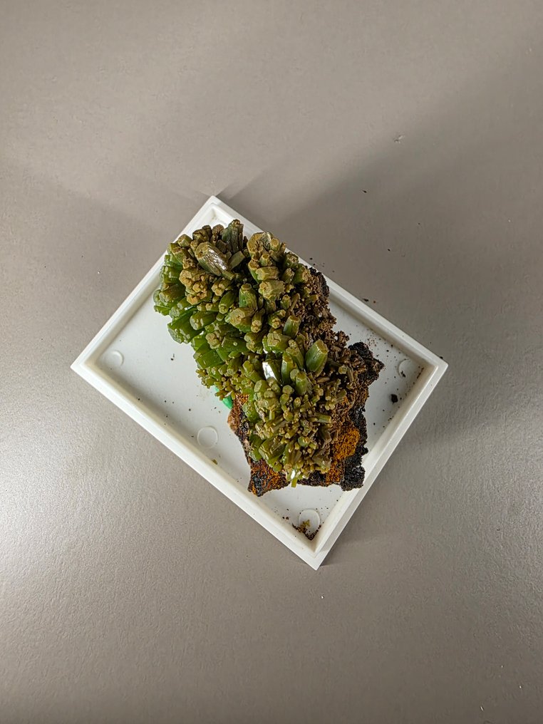 Pyromorphite Crystals on matrix - Height: 3 cm - Width: 5 cm- 44 g #3.2